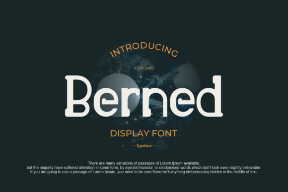 Berned: A Cool and Quirky Display Font for Editorial Design