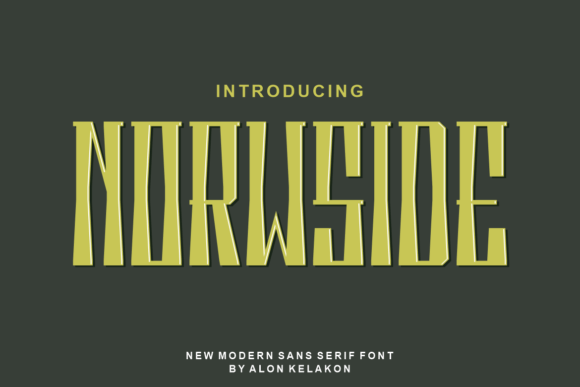 Norwside: A Stylish and Elegant Display Font for Creative Brands