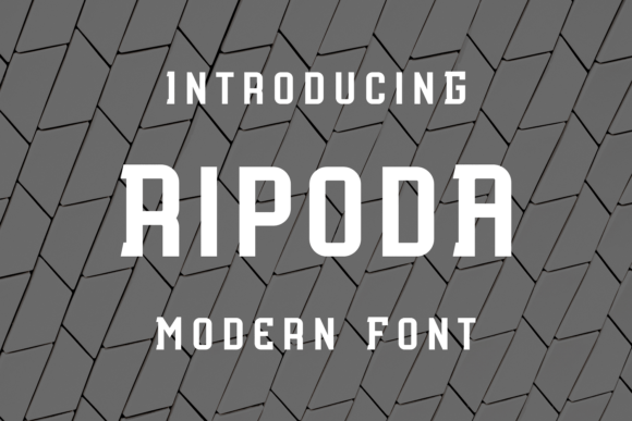 Ripoda: A Fun and Unique Display Font for Digital Brands